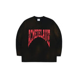 アクメドラビ(acme' de la vi) FRONT FULL LOGO SPRAY WASHING LONG SLEEVE T-SHIRT BLACK