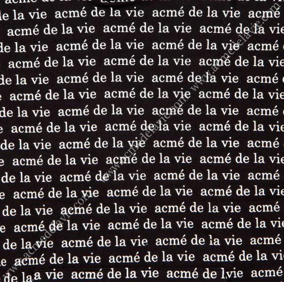 アクメドラビ(acme' de la vie) ADLV BLACK HOODIE LETTERING PATTERN