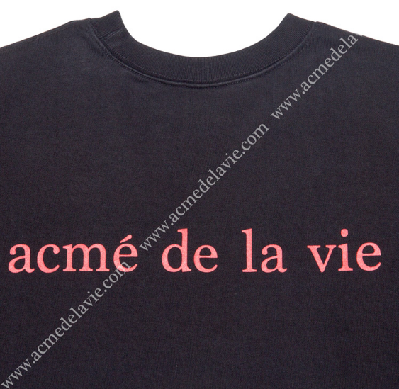 アクメドラビ(acme' de la vie) ADLV VINTAGE WASHING SWEATS T-SHIRT BLACK SHAKESPEARE