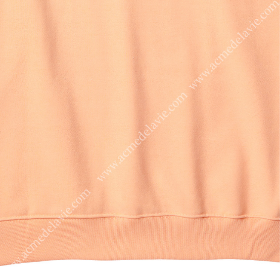 アクメドラビ(acme' de la vie) ADLV SEAHORSE SWEATSHIRT LIGHT ORANGE