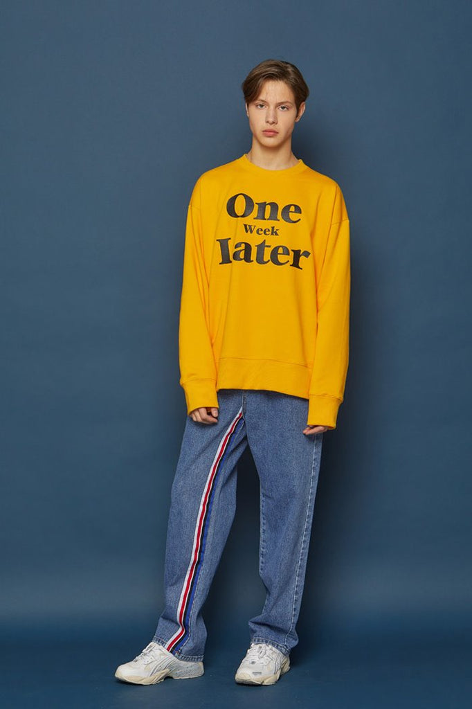 スローアシッド(SLOW ACID) Sideline Denim Pants (BLUE)