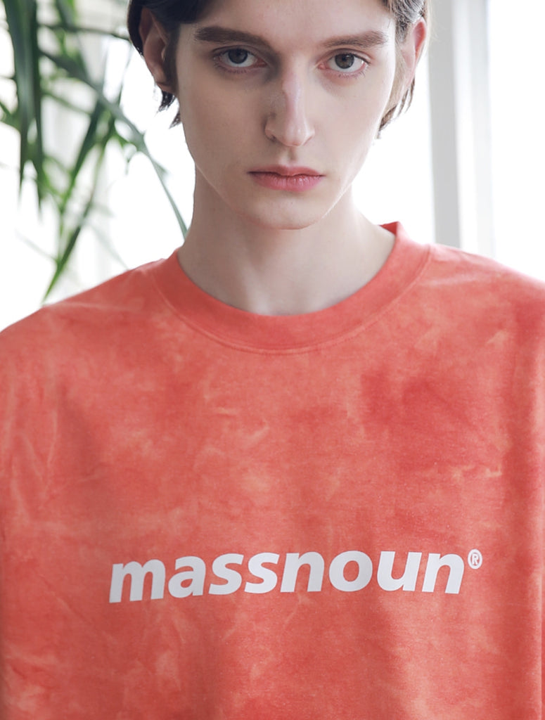 マスノウン(MASSNOUN) SL LOGO TIE-DYE OVERSIZED T-SHIRTS MSNTS009-CR