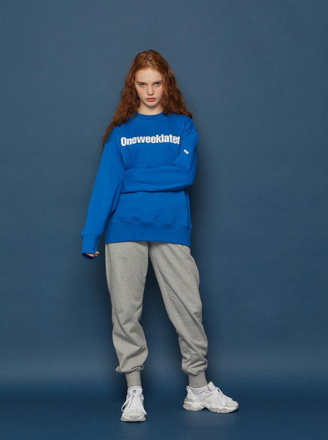 スローアシッド(SLOW ACID) Pocket Sweatshirt (BLUE)