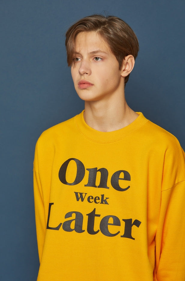 スローアシッド(SLOW ACID) OWL Sweatshirt (YELLOW)