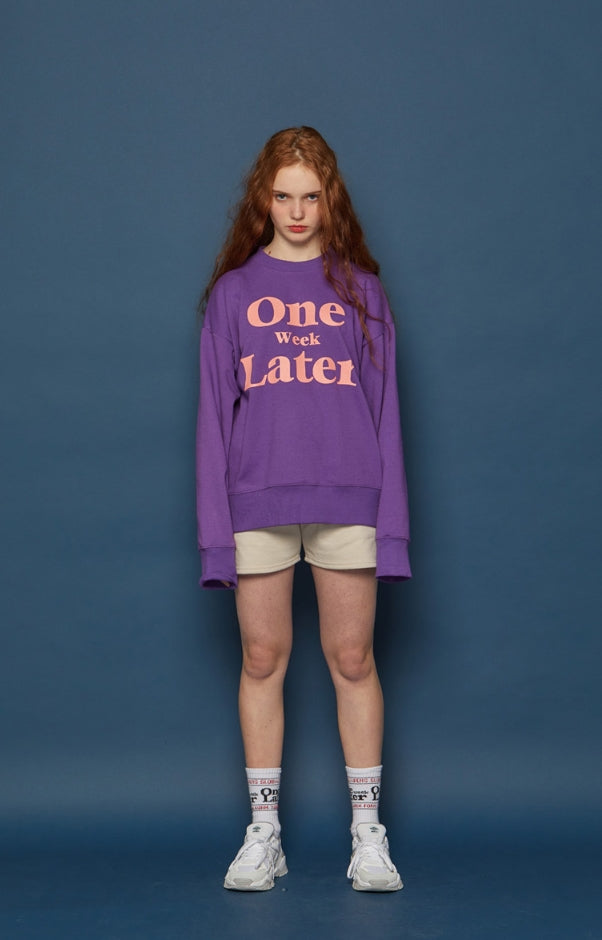 スローアシッド(SLOW ACID) OWL Sweatshirt (VIOLET)