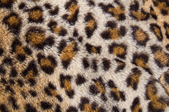 セイントペイン(SAINTPAIN)  SP GOTHA COACH JKT-LEOPARD