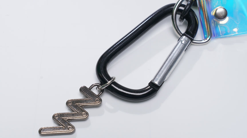 ダブルユーブイプロジェクト(WV PROJECT) Hologram Carabiner Keyring CJAC7337