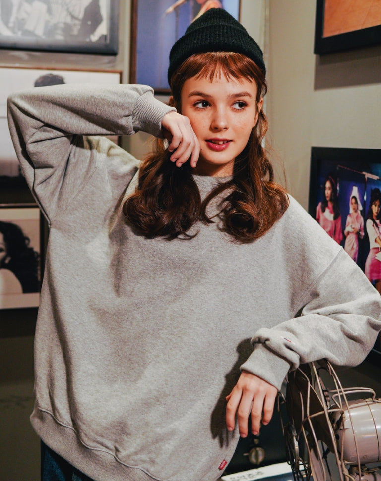 ダブルユーブイプロジェクト(WV PROJECT) WANNER SWEAT SHIRTS GRAY JJMT7366