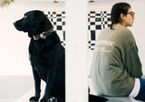 セイントペイン(SAINTPAIN)  SP PIGMENT VRTN LOGO CREW NECK-KHAKI