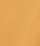 ダブルユーブイプロジェクト(WV PROJECT) CADDY SHORT SLEEVE MUSTARD MJST7391