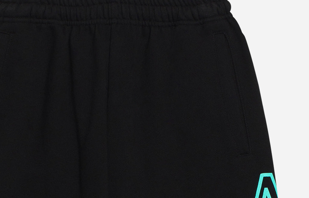 アクメドラビ(acme' de la vie)  SIDE BIG LOGO PANTS FOR MEN MINT