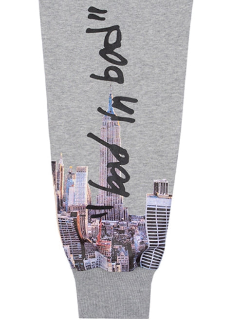 ベドインベド(BADINBAD) BAD CITY HOODIE_GREY