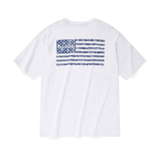 セイントペイン(SAINTPAIN) SP FLAG OF PAISLEY T-ASH MELANGE