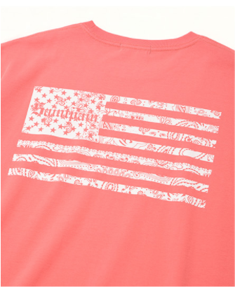 セイントペイン(SAINTPAIN) SP FLAG OF PAISLEY T-CORAL