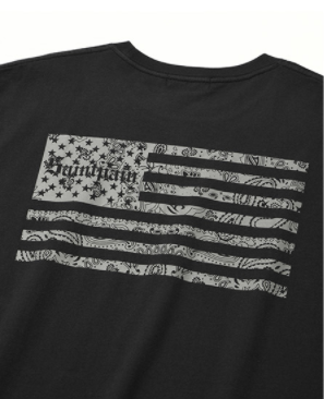 セイントペイン(SAINTPAIN) SP FLAG OF PAISLEY T-BLACK