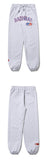 ベドインベド(BADINBAD) COLLEGE FONT HEAVY WEIGHT PANTS_LIGHT GREY