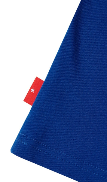 ARCHIVE BOLD (アーカイブボールド) CROWN CROP TOP (BLUE)