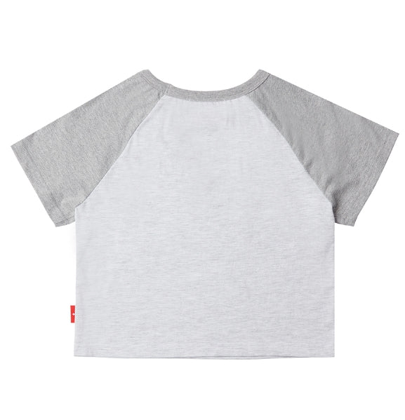 ARCHIVE BOLD (アーカイブボールド) CROWN CROP TOP (GRAY)