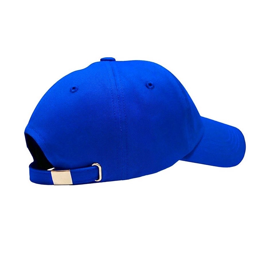 DAYDAF (デイダフ)  DAY BALL CAP - BLUE