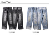 パンチライン(PUNCHLINE) Heavy Destroyed Jeans 2種 JJLP9158