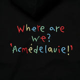 アクメドラビ(acme' de la vie) COLORFUL EMBROIDERY HOODIE BLACK