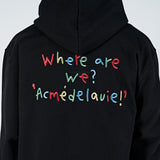 アクメドラビ(acme' de la vie) COLORFUL EMBROIDERY HOODIE BLACK