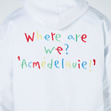 アクメドラビ(acme' de la vie) COLORFUL EMBROIDERY HOODIE WHITE