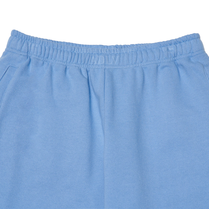 アクメドラビ(acme' de la vie) AV COLOR EMBOIDERY LOGO PANTS LIGHT INDIGO BLUE