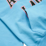 アクメドラビ(acme' de la vie)   INNER POCKET HOODIE SKYBLUE