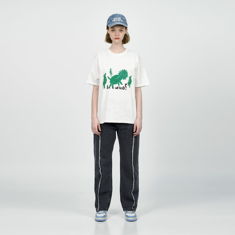 アクメドラビ(acme' de la vie)  WESTERN DENIM PANTS BLACK