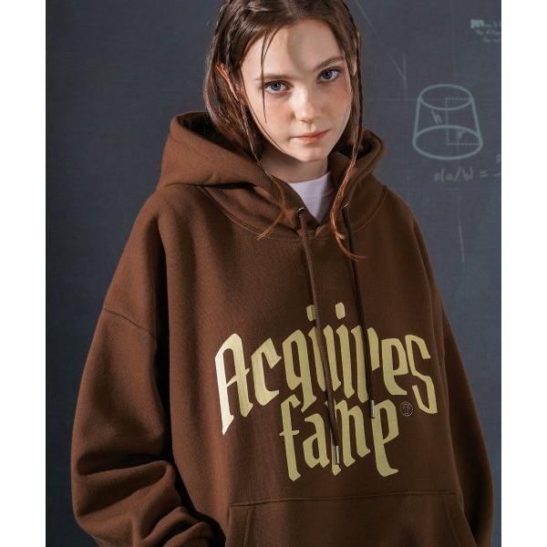 ティーダブリューエヌ(TWN)  Acquires Hoodie Brown HHHD3465