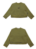 ベーシックコットン(BASIC COTTON) Basic Stripe Sweatshirt (イエロー)
