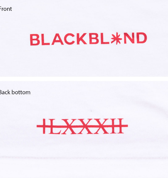 ブラックブロンド(BLACKBLOND) BBD Basic Center Logo Tee (White)