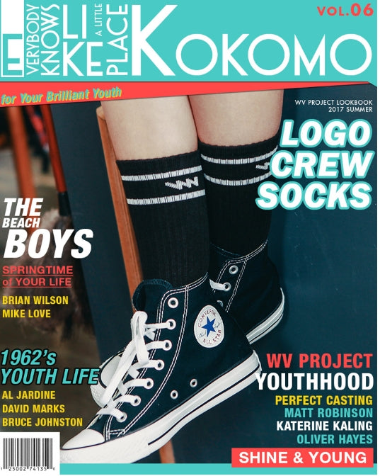 ダブルユーブイプロジェクト(WV PROJECT) LOGO CREW SOCKS 5PACK JJAC7087