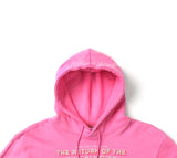 ステレオバイナルズ(Stereo Vinyls) [FW19 Pink Panther] PP Hotfix Hoodie(Pink)