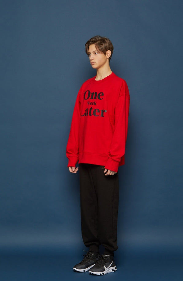 スローアシッド(SLOW ACID) OWL Sweatshirt (RED)