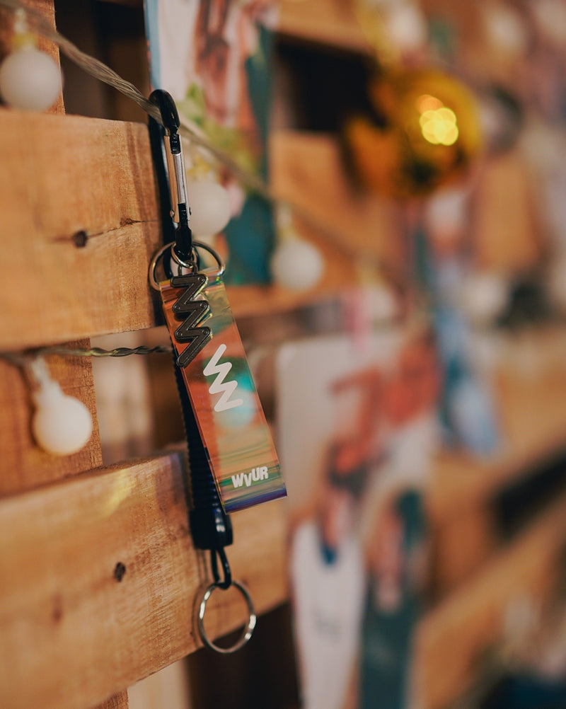 ダブルユーブイプロジェクト(WV PROJECT) Hologram Carabiner Keyring CJAC7337