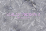 ロマンティッククラウン(ROMANTIC CROWN) TIE DYE LOGO SWEAT SHIRT_GREY