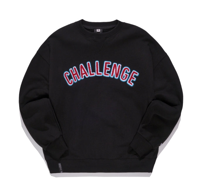 ティーダブリューエヌ(TWN)CLASIC SWEATSHIRTS STMT3265