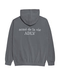 アクメドラビ(acme' de la vie) ADLV LOGO HOODIE GREY