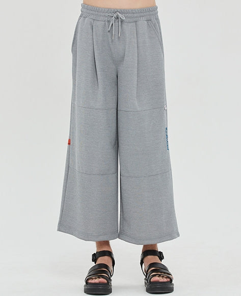 ベドインベド(BADINBAD)  WIDE TRACK PANTS_GREY