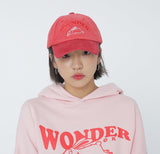 ワンダービジター(WONDER VISITOR) Rabbit Corduroy two-tone ball cap