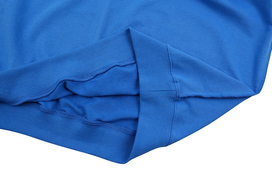 ORDINARY PEOPLE(オーディナリーピープル) vintage logo blue sweat shirt