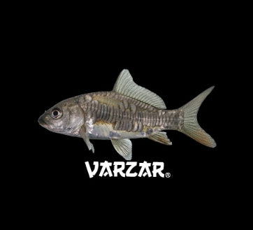 VARZAR(バザール) Fish printing ballcap black