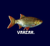 VARZAR(バザール) Fish printing ballcap navy
