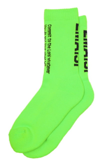 MMIC(エムエムアイシー) PV163 SOCKS GR