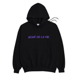 アクメドラビ(acme' de la vie) THERMOCHROMIC LOGO HOODIE BLACK