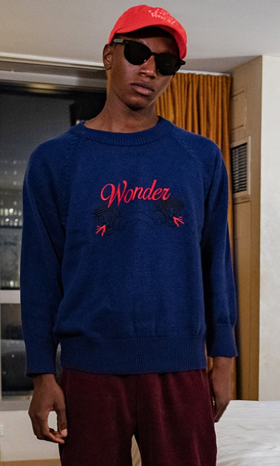 ワンダービジター(WONDER VISITOR)  2020 Signature embroidery Knit [Navy]