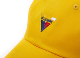 ボーンチャンプス(BORN CHAMPS)  V SYMBOL CAP YELLOW CEPFMCA05YE