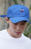 ボーンチャンプス(BORN CHAMPS)  V SYMBOL CAP BLUE